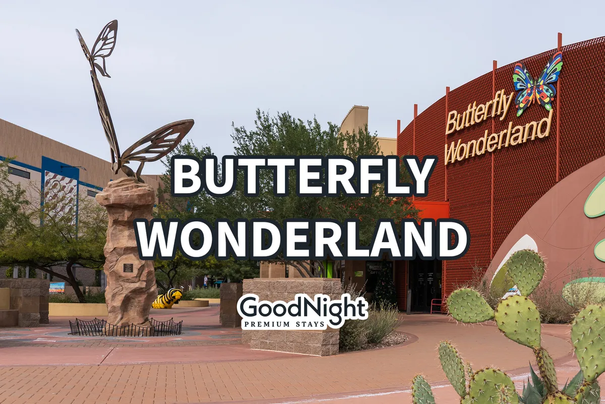 An exterior view of the vibrant Butterfly Wonderland entrance, marked by a large butterfly sculpture and colorful facade. Lush greenery and cactus plants in the foreground hint at the playful, interactive experiences inside, especially for families and children.